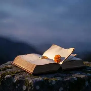 نصیب سے ہاری ہوئی محبت ۔۔ شاعری عبد المجید خاصخیلی cover art