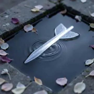 أسف...ل.... سهم سندي... cover art