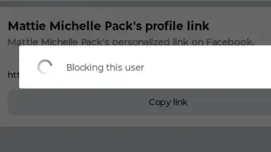 Block and Delete cover art