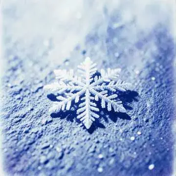 snow fell cover art