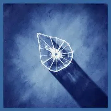 seen it all v2 cover art