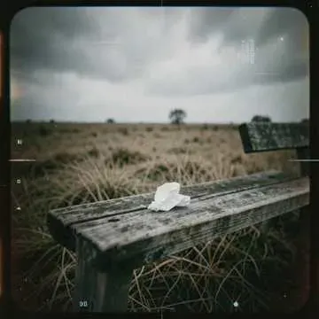 สุดทางฝัน cover art