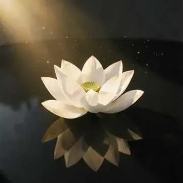 تیرا نام لیا cover art