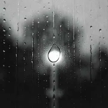 you're not alone cover art