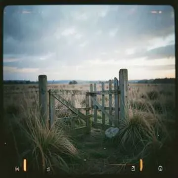 I Know Your Voice cover art