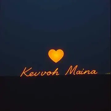 kevoh maina cover art