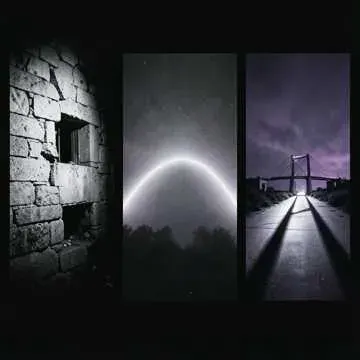 The rise cover art