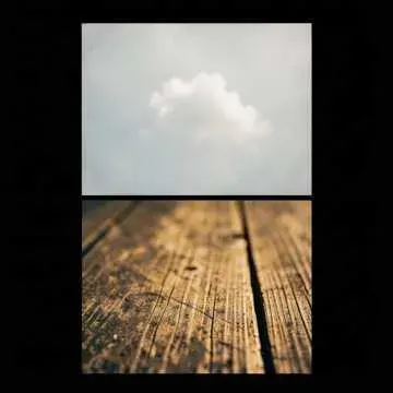 What does love mean? cover art