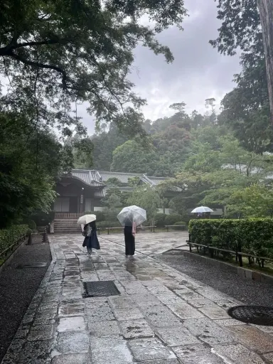 京都の雨の中 cover art