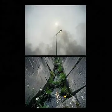 Battlefield Oasis cover art