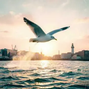 as free as an Aberdeen seagull cover art