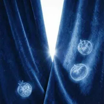 Spark In The Velvet cover art